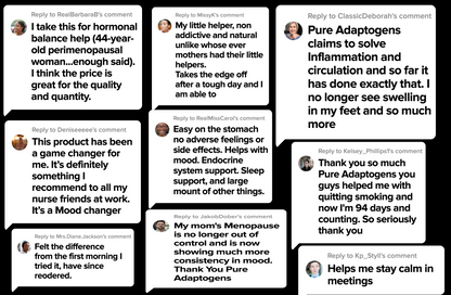 Pure Adaptogens 100% Natural Plant Vegetarian Capsules